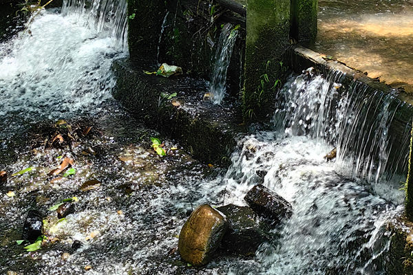 2025年广东省造纸行业“能效(水效)领跑者”名单公布