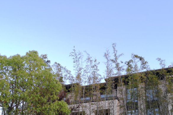 迈向“十五五”，再生面料如何重塑纺织业增长新范式