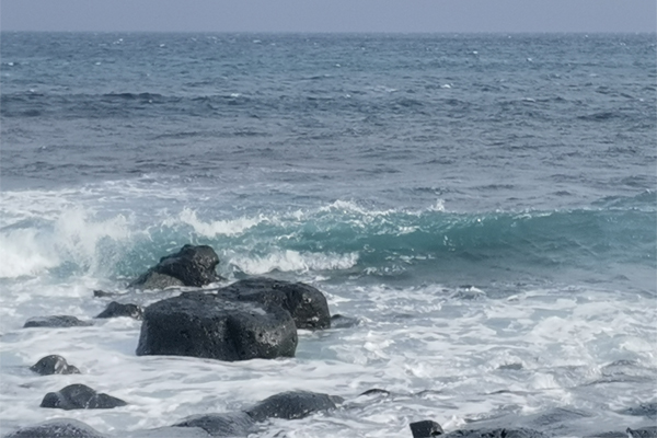 出口快讯 | 2025年我国纺织品服装出口额达2938亿美元，承压形势下彰显韧性