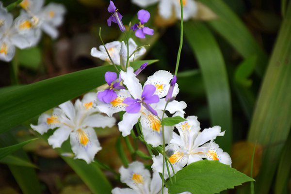 中纺流通大讲堂公益赋能计划正式启航