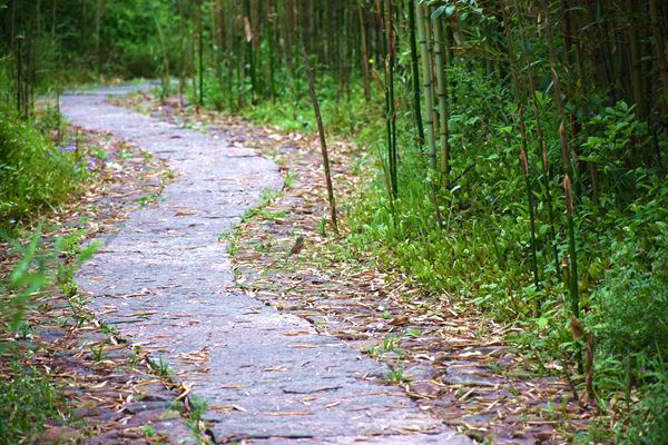 藏在乡村里的“国际生意”：一件童装的万里旅程